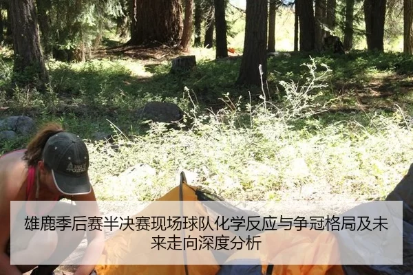 雄鹿季后赛半决赛现场球队化学反应与争冠格局及未来走向深度分析