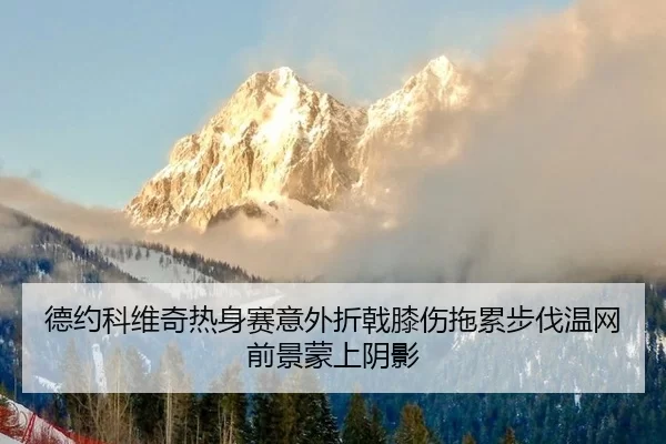 de-yue-ke-wei-qi-re-shen-sai-yi-wai-zhe-ji-xi-shang-tuo-lei-bu-fa-wen-wang-qian-jing-meng-shang-yin-ying-2-968.jpg